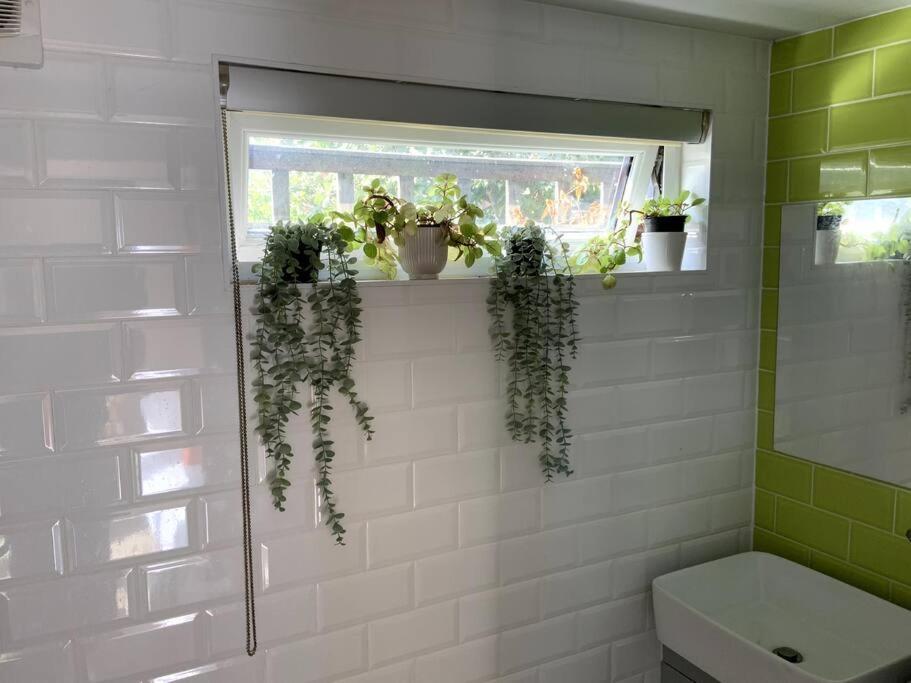 Cabin Retreat In The Heart Of Warwick. وارويك المظهر الخارجي الصورة